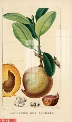 File gốc Tranh sơn dầu phương tây tổng hợp STS21000 (vector) cho in ấn