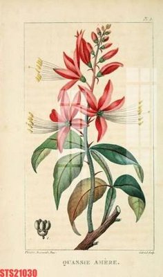 File gốc Tranh sơn dầu phương tây tổng hợp STS21030 (thiết kế) cho in ấn