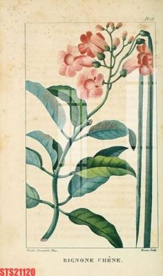 File tranh gốc in trần nhà Tranh sơn dầu phương tây tổng hợp STS21120 3D