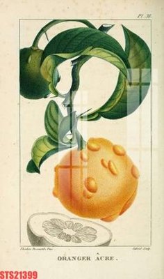 Tải file Tranh sơn dầu phương tây tổng hợp STS21399 (gốc) làm file thiết kế