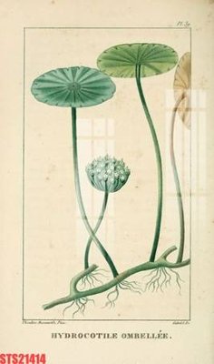 File gốc Tranh sơn dầu phương tây tổng hợp STS21414 (ảnh chi tiết) để in trần