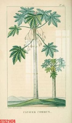 File gốc Tranh sơn dầu phương tây tổng hợp STS21474 (trang trí) phòng làm việc