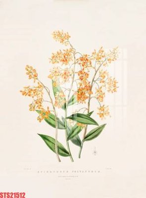 File ảnh Tranh sơn dầu phương tây tổng hợp STS21512 (gốc) in decal dán tường