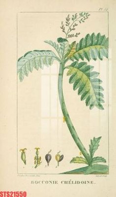 File gốc Tranh sơn dầu phương tây tổng hợp STS21550 (in mica) trang trí