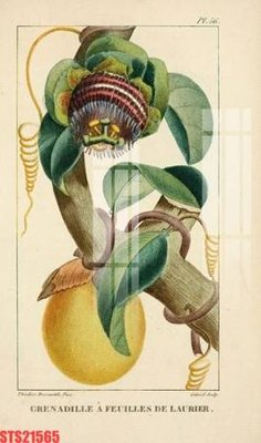 File tranh Tranh sơn dầu phương tây tổng hợp STS21565 (ảnh gốc) in trần nhà