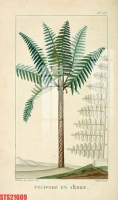 File ảnh Tranh sơn dầu phương tây tổng hợp STS21609 (gốc) in quảng cáo ngoài trời