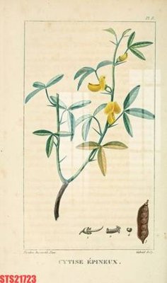 Download file tranh PSD Tranh sơn dầu phương tây tổng hợp STS21723 để chỉnh sửa