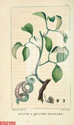 File ảnh Tranh sơn dầu phương tây tổng hợp STS21751 (gốc) in quảng cáo ngoài trời