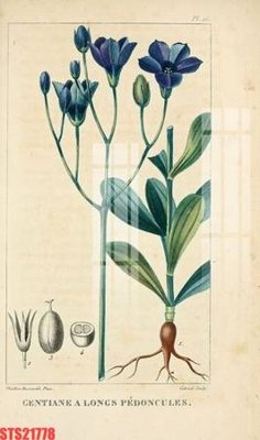 Tải file Tranh sơn dầu phương tây tổng hợp STS21778 (ảnh gốc) file AI/EPS