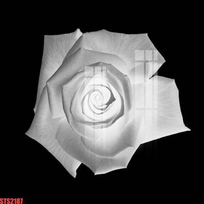 File tranh Tranh sơn dầu phương tây tổng hợp STS2187 (file gốc) chủ đề phong thủy