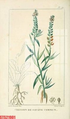 File ảnh Tranh sơn dầu phương tây tổng hợp STS21901 (gốc) in standee