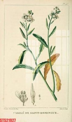 Tải file gốc Tranh sơn dầu phương tây tổng hợp STS21927 (bản PSD) đầy đủ layer