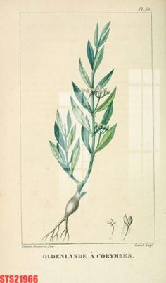 File in lụa Tranh sơn dầu phương tây tổng hợp STS21966 (phong cảnh) Tranh sơn dầu phương tây tổng hợp STS21966