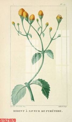 File gốc in ấn Tranh sơn dầu phương tây tổng hợp STS21979 chất lượng vượt trội