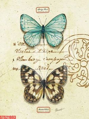 Download file gốc Tranh sơn dầu phương tây tổng hợp STS21993 (in lụa) tranh 3D