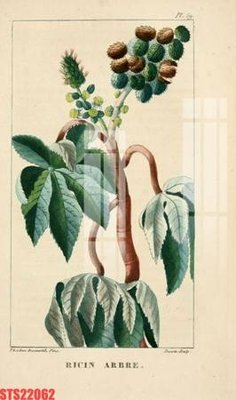 File tranh Tranh sơn dầu phương tây tổng hợp STS22062 (ảnh gốc) cho in ấn kỹ thuật số