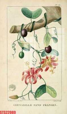 File gốc in ấn Tranh sơn dầu phương tây tổng hợp STS22089 chuẩn màu CMYK