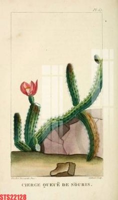 Hình ảnh file gốc Tranh sơn dầu phương tây tổng hợp STS22128 cho in UV