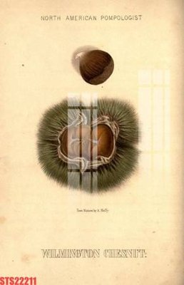 File tranh gốc Tranh sơn dầu phương tây tổng hợp STS22211 (bản đẹp) độc quyền