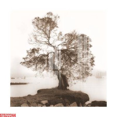 Tải file gốc in lụa Tranh sơn dầu phương tây tổng hợp STS22244 siêu nét