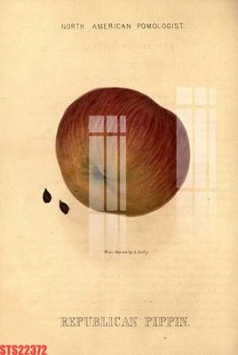 File ảnh Tranh sơn dầu phương tây tổng hợp STS22372 (gốc) in quảng cáo ngoài trời