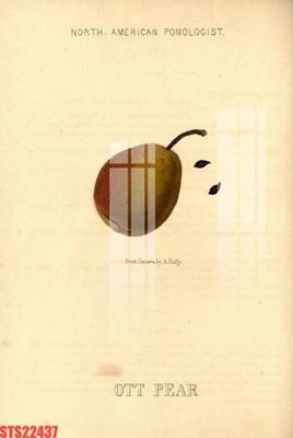 File tranh Tranh sơn dầu phương tây tổng hợp STS22437 (bản gốc) treo phòng ăn