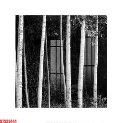 File in trần Tranh sơn dầu phương tây tổng hợp STS22444 (bản gốc) phong cảnh