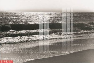 File tranh in trần 3D Tranh sơn dầu phương tây tổng hợp STS22526 (ảnh gốc)