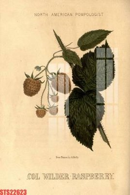 File tranh Tranh sơn dầu phương tây tổng hợp STS22623 (ảnh gốc) chi tiết rõ ràng