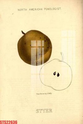 Tải file gốc Tranh sơn dầu phương tây tổng hợp STS22636 dùng cho in ấn