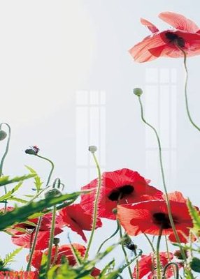 File in mica Tranh sơn dầu phương tây tổng hợp STS2269 (ảnh gốc) đẹp