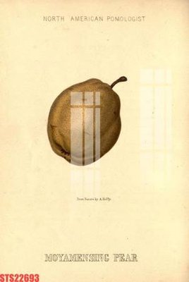 File gốc Tranh sơn dầu phương tây tổng hợp STS22693 (cho in UV) siêu nét