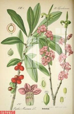 File gốc Tranh sơn dầu phương tây tổng hợp STS22758 (in mica) làm quà tặng