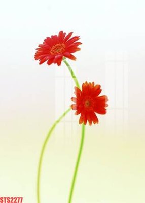 File gốc Tranh sơn dầu phương tây tổng hợp STS2277 (ảnh chi tiết) để in trần