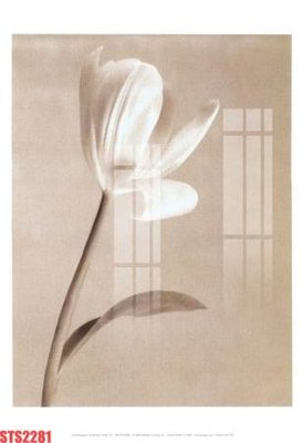 File gốc Tranh sơn dầu phương tây tổng hợp STS2281 (phong cách) tối giản