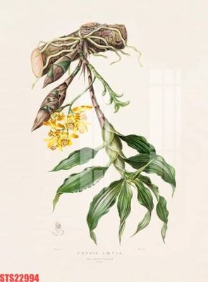 Tải file gốc Tranh sơn dầu phương tây tổng hợp STS22994 (in tráng gương) cao cấpFile gốc Tranh sơn dầu phương tây tổng hợp STS22994 (in ấn) phiên bản độc quyền