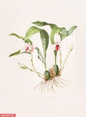 Tải file Tranh sơn dầu phương tây tổng hợp STS23310 (ảnh gốc) in gạch men