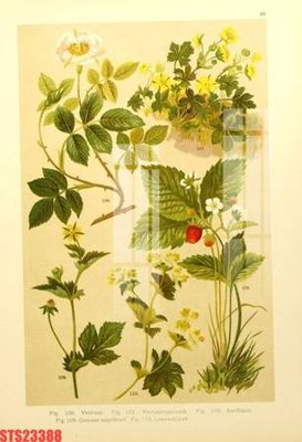 Ảnh mô tả file gốc in mica Tranh sơn dầu phương tây tổng hợp STS23388