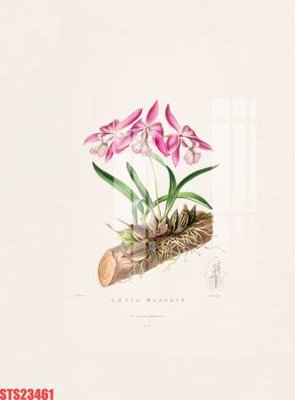 File gốc Tranh sơn dầu phương tây tổng hợp STS23461 (ảnh chi tiết) để in lụa