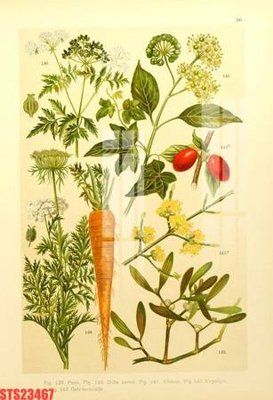 File ảnh Tranh sơn dầu phương tây tổng hợp STS23467 (gốc) dùng in Pano