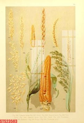 File gốc Tranh sơn dầu phương tây tổng hợp STS23503 (phong cách) tối giản