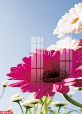 Tải file tranh Tranh sơn dầu phương tây tổng hợp STS2357 (gốc) tại Filetranh.com