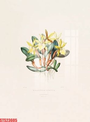 Mua file ảnh gốc Tranh sơn dầu phương tây tổng hợp STS23605 (chất lượng cao)