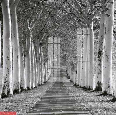 File tranh Tranh sơn dầu phương tây tổng hợp STS23820 (bản gốc) treo quán cafe