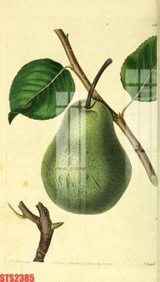 File gốc Tranh sơn dầu phương tây tổng hợp STS2385 (in 3D) nghệ thuật