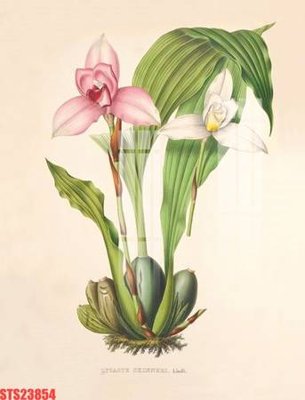 Tải file Tranh sơn dầu phương tây tổng hợp STS23854 (gốc) làm file quảng cáo