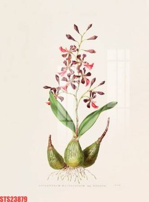 File gốc in ấn Tranh sơn dầu phương tây tổng hợp STS23879 chuẩn màu CMYK