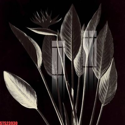 File tranh Tranh sơn dầu phương tây tổng hợp STS23930 (gốc) chủ đề trẻ em