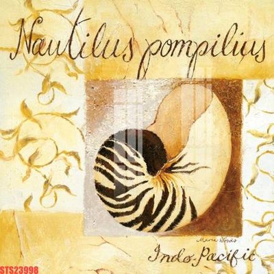 Tải file Tranh sơn dầu phương tây tổng hợp STS23998 (gốc) chủ đề hoa sen