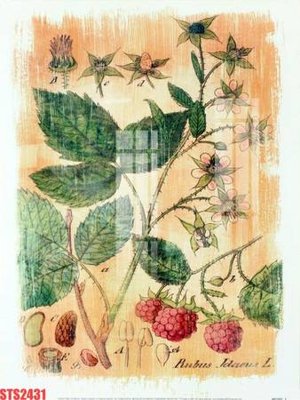 File tranh gốc Tranh sơn dầu phương tây tổng hợp STS2431 chủ đề hiện đại